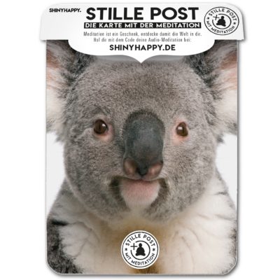 stille_post_shine_koala_A