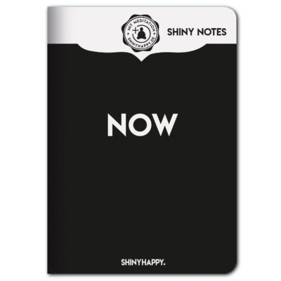 shiny_notes_now
