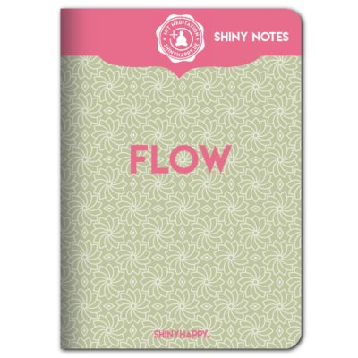 shiny_notes_flow