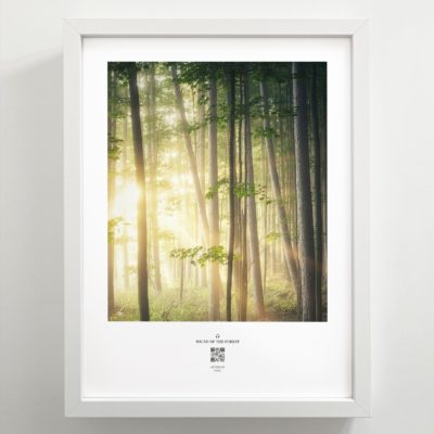hoerbar_poster_forest_magic_02
