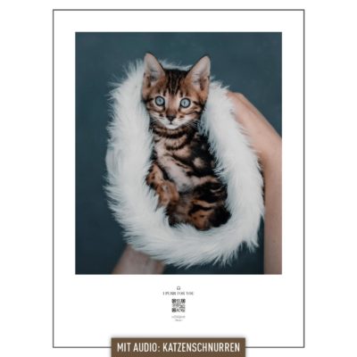 hoerbar_poster_cat_purr_kitten_000