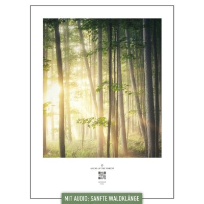 hoerbar_poster_forest_magic_000
